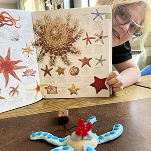 Mount Madonna School Middle Home Box