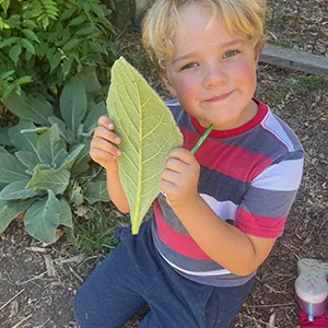 Mount Madonna School Pre K Home Box 2