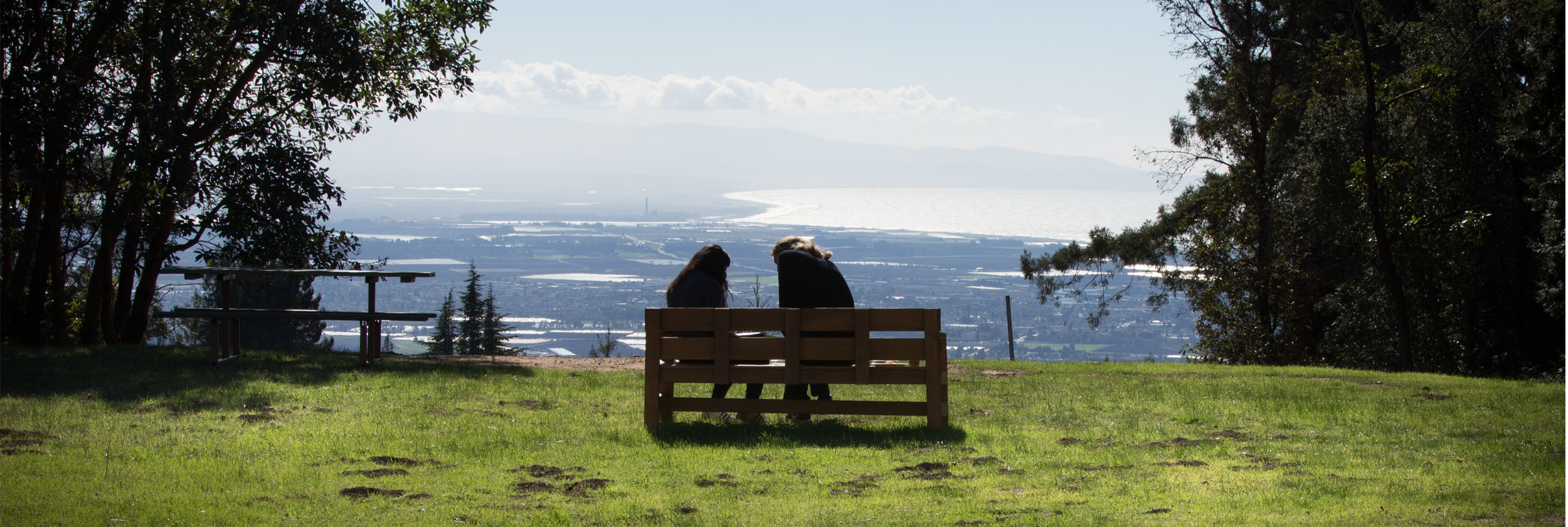 HawkLife Overlook