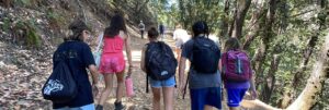 MS Hike