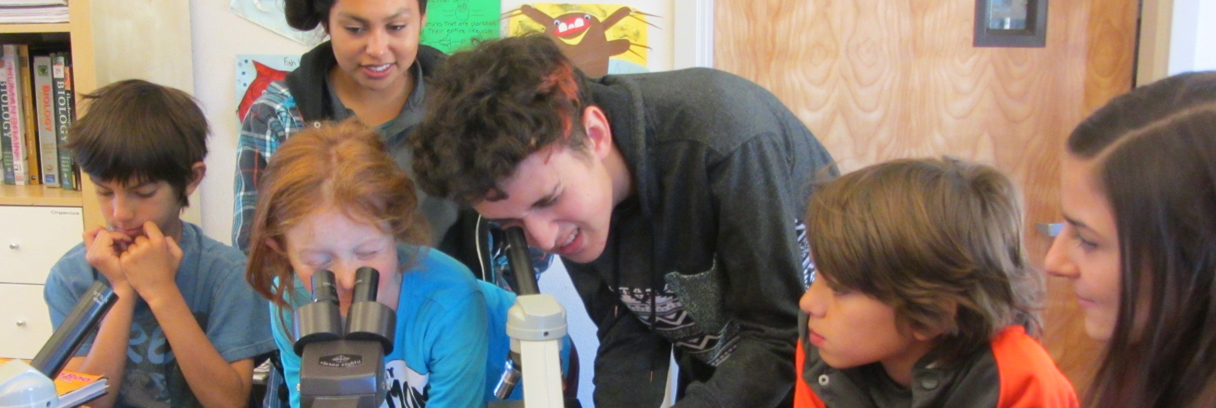 mission buddies science