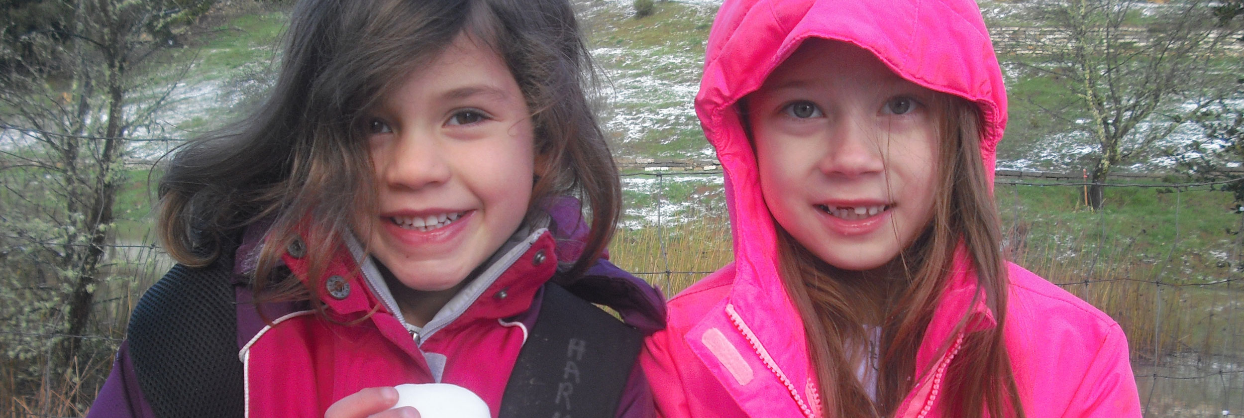 snowballs