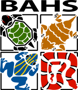 BAHS Logo Color