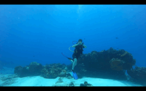 scuba